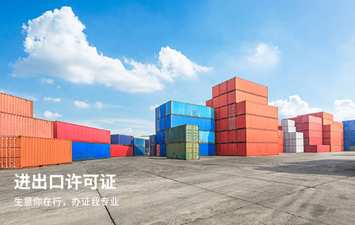 进出口许可证 进出口许可证