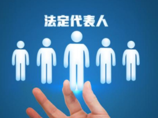 法定代表人 法定代表人